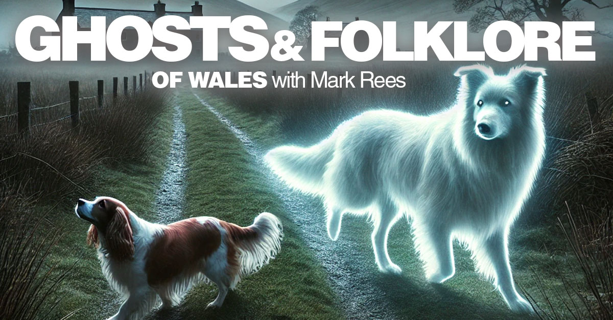 Ghost Dogs: Haunting Encounters with Phantom Hounds