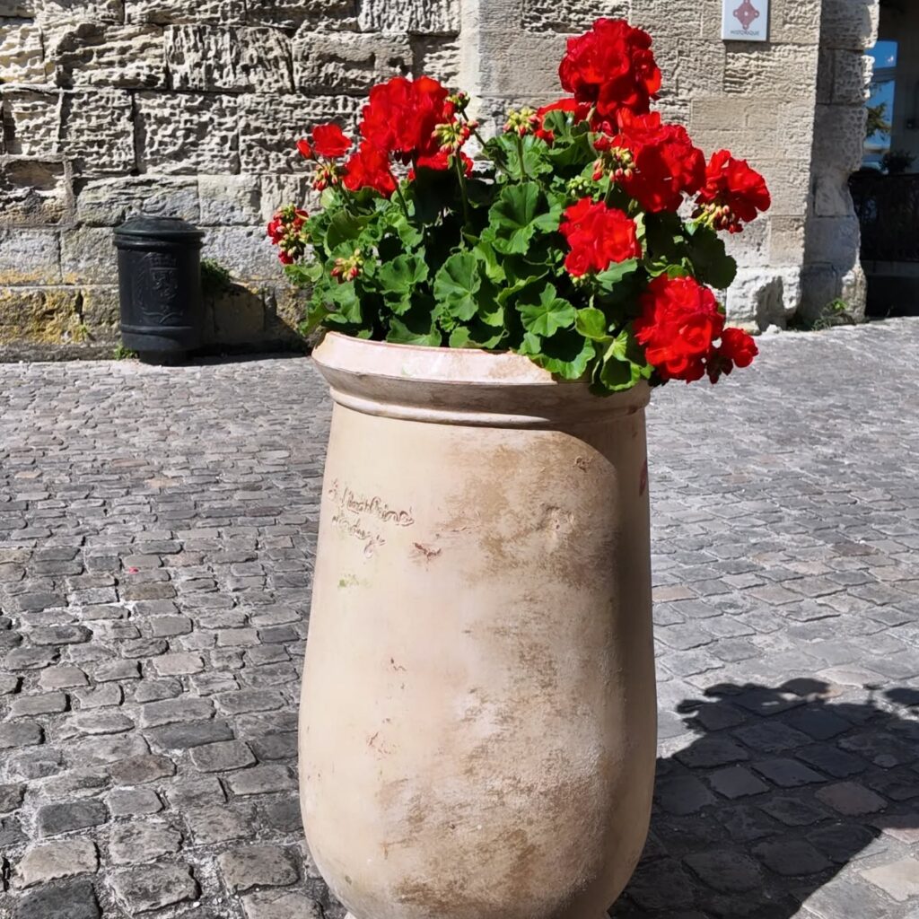 Exploring Saint-Émilion.