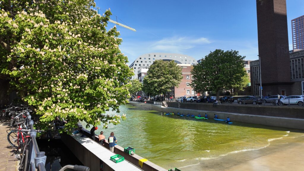 Some unexpected surfing in Rotterdam.
