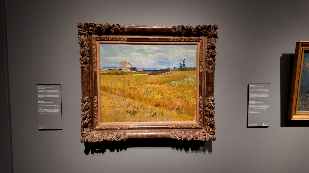 Wheatfield by Vincent van Gogh, 1888, at the Rijksmuseum.