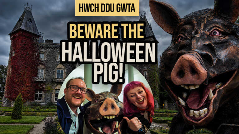 Welsh Halloween Folklore: Hwch Ddu Gwta, the Terrifying Black Tailless Pig | Nos Calan Gaeaf at Newton House, Dinefwr