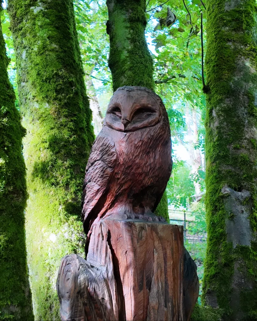 Owl sculpture at Penllergare Valley Woods
